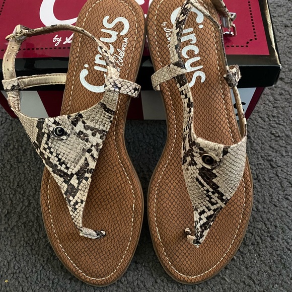 👡🆕Womens Sam Edelman sandals🆕👡 - Picture 8 of 8